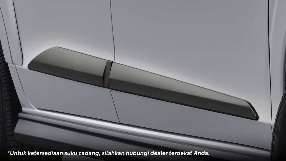 Side Body Molding Gunmetal