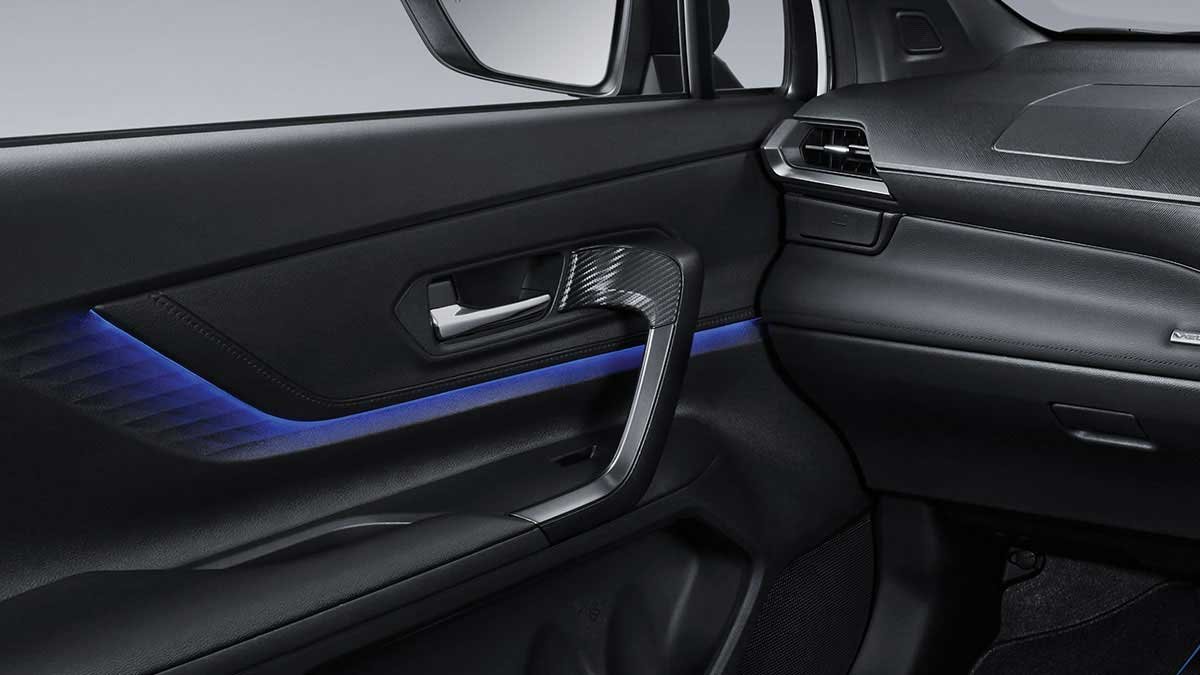 New Bold Leisure Soft Pad Door Armrest with Full Grip